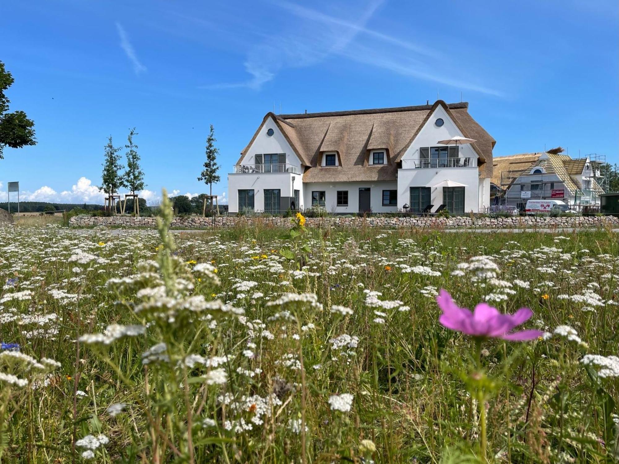 Vila Inseldomizil Stolpe - Urlaub Unter Reet Auf Usedom Stolpe auf Usedom Exteriér fotografie